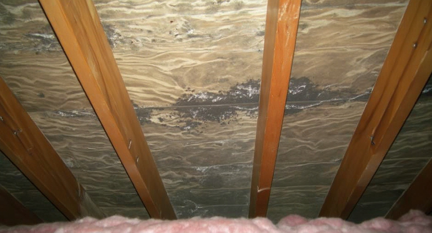 Residential attic interior showing moisture damage — dark staining on the underside of roof decking boards and rafters, indicating condensation or slow leak accumulation typical of poorly ventilated Gulf Coast attics