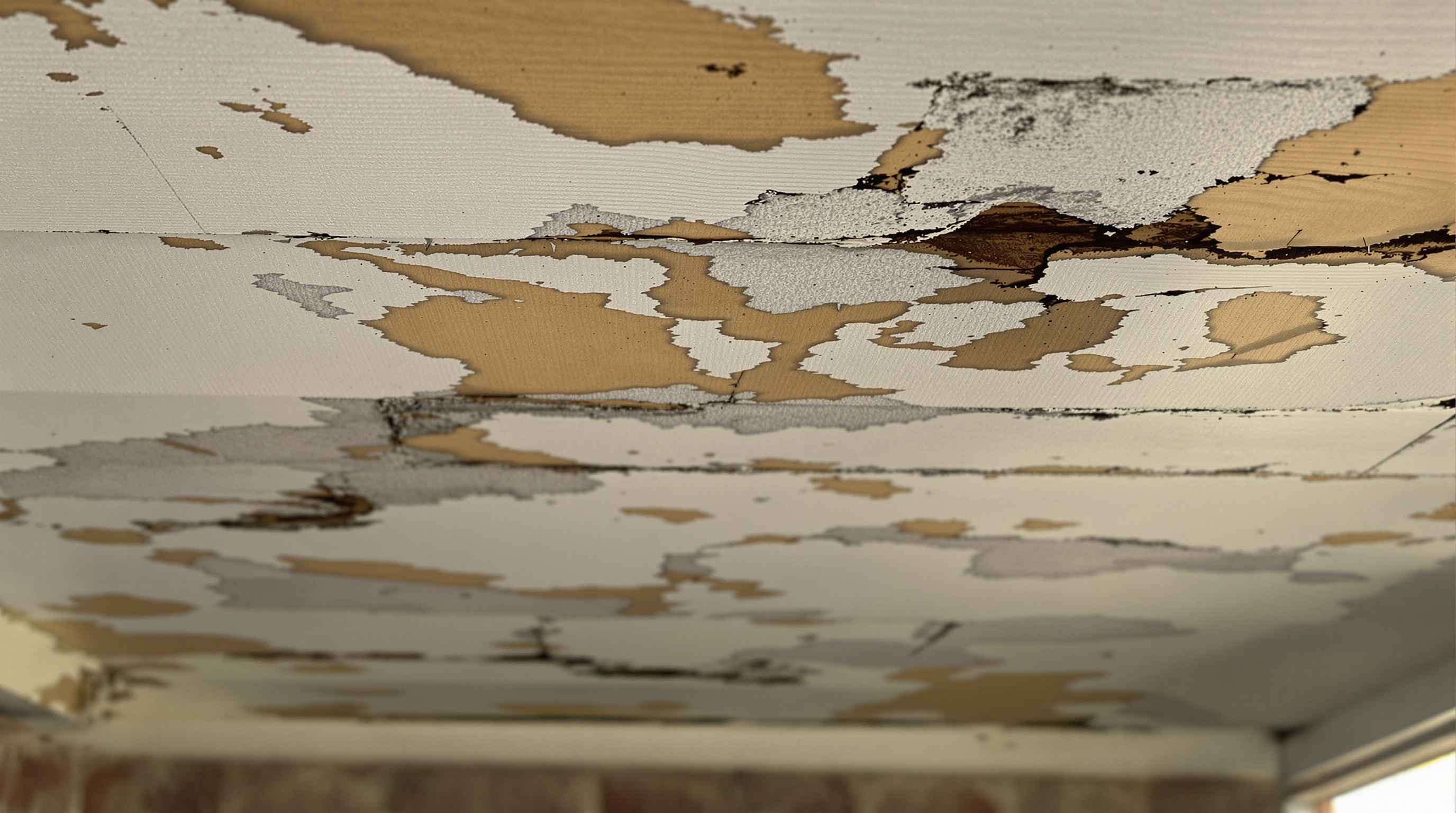 Underside of a residential roof overhang showing severe paint peeling and bubbling on soffit boards, with paint chips lifting and raw wood exposed — moisture-driven failure typical of Gulf Coast humidity and attic ventilation problems